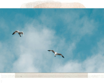 WINGS OF LIGHT, FREEDOM’S FLIGHT